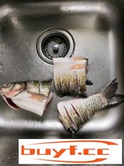 清蒸鱼块（简单快手，鲜美营养低脂）(清蒸鱼块图片)