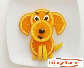 狗狗能吃橘子吗,狗狗到底能不克不及吃橘子(狗可以吃橘子吗狗狗)
